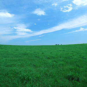 地震警報風効果音 (効果音)