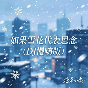 如果雪花代表思念(DJ慢嗨版)