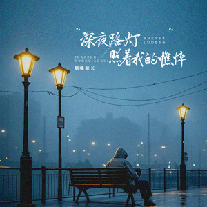 深夜路灯照着我的憔悴