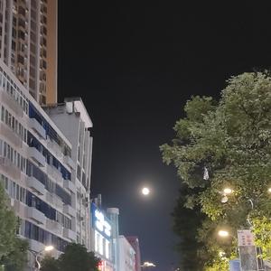 月亮代表我的心（吉他版）