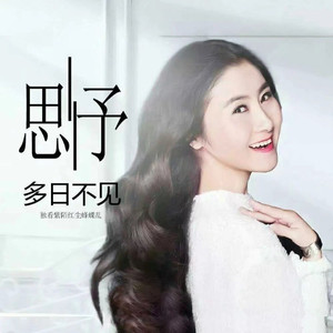 多日不见 (DJ枫叶版)