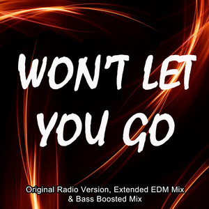 Won't Let You Go (Extended EDM Mix)