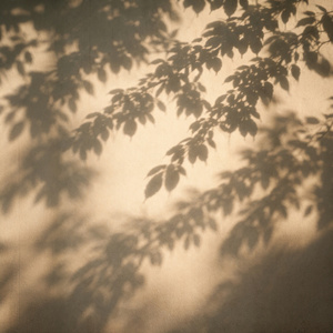 Тіні на стіні