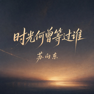 时光何曾等过谁