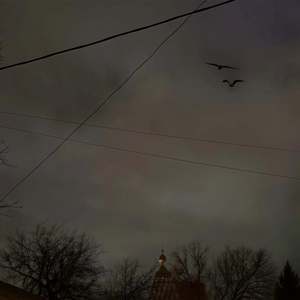 Черные Вороны (Не До Абстракций II)