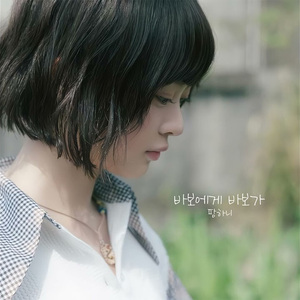 AI Hanni - 바보에게 바보가