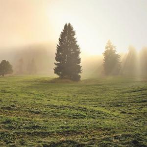 Silensi de Muntagna (Dialetto Milanese)