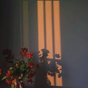 喜欢(ProdEVOMUSIC)