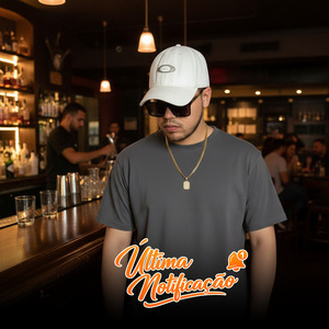 Última Notificação