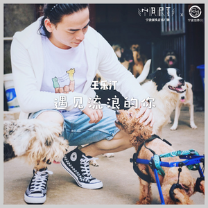 遇见流浪的你 (伴奏)