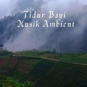 Tidur Bayi Musik