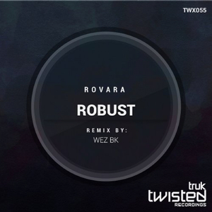 Robust (Original Mix)