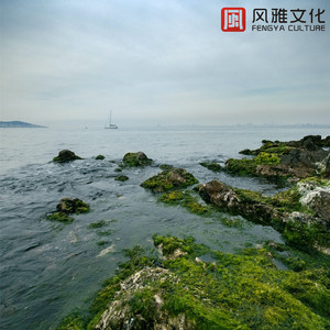 梦在天空飞翔(钢琴)