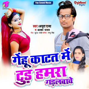 Gehu Katat Me Tud Hamara Gadal Bawe