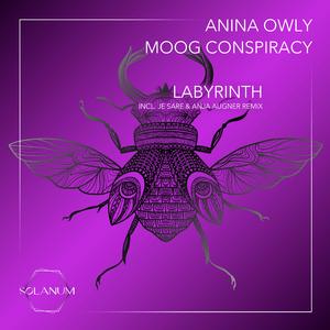 Labyrinth (Anja Augner Remix)