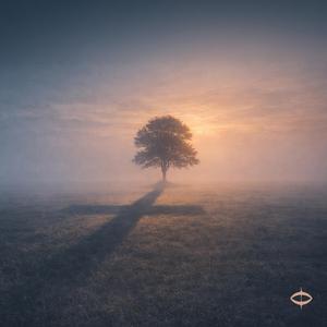 Summer Breeze (feat. Freddy Closet)