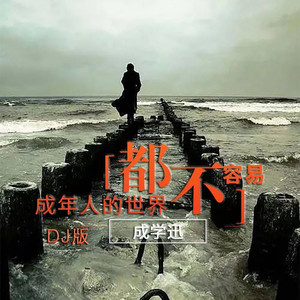成年人的世界都不容易 (DJ默涵版伴奏)