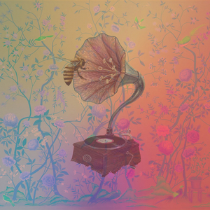 Sonnengruss (Original Mix)