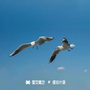 冬虫夏草 第十二季