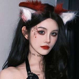 物质是凝固能量