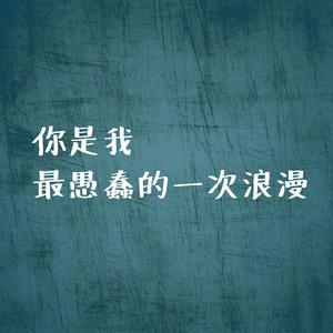 你是我最愚蠢的一次浪漫