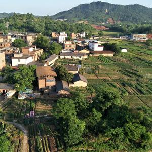 我嘞家（翻自 吗子）