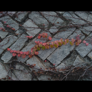 On the Washing Machine