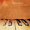 Wayne Horvitz - Improvisation 8