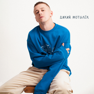 Дикий мотылёк