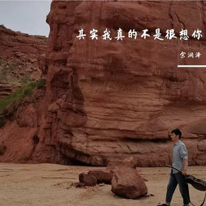 其实我真的不是很想你 伴奏