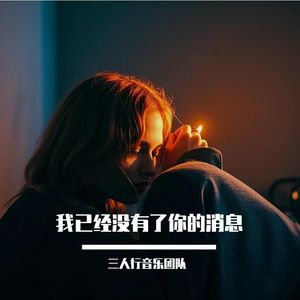 我已经没有了你的消息DJ版