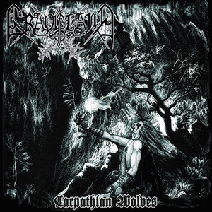 Carpathian Wolves (Intro) / Barbarism Returns