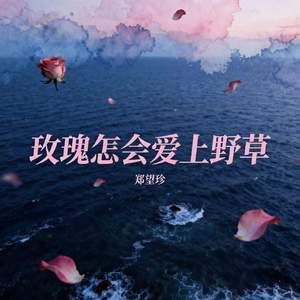 玫瑰怎会爱上野草