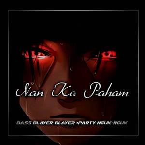 Dj Nan ko paham Bass Blayer Blayer x party nguk nguk