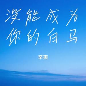 没能成为你的白马