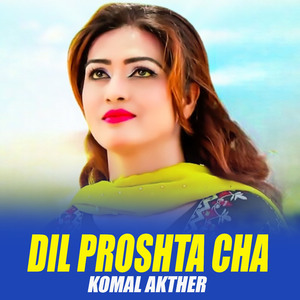Dil Proshta Cha