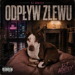 Odpływ Zlewu