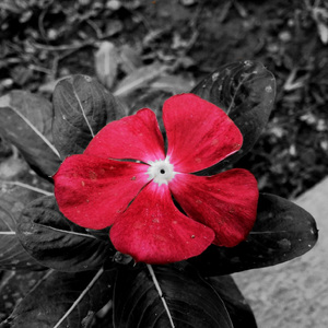 reupload 免费*Free* Dark Trap Type Beat