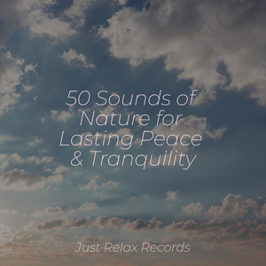 Lost in Tides of Illusion