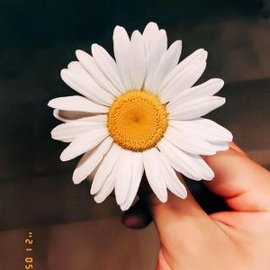 如果每天不会到来