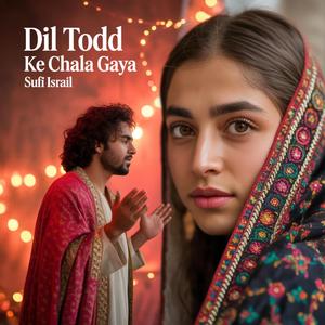 Dil Todd Ke Chala Gaya