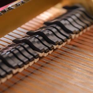 Jesús, La Respuesta