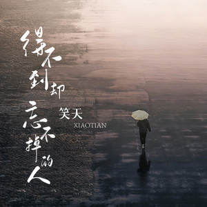 得不到却忘不掉的人