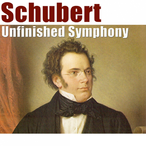 Symphony No. 8 in B Minor, D. 759 "Unfinished Symphony": I. Allegro moderato