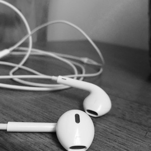 零下十一度的风