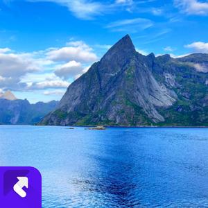 酒入愁肠 (现场)