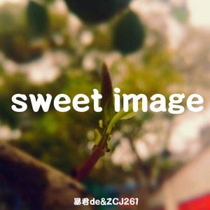 Sweet image(暴君de Ver. 备用demo)