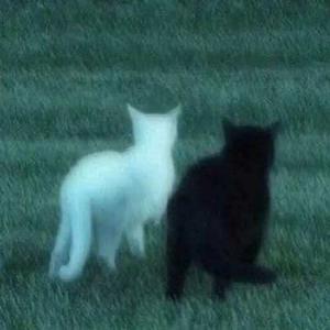 此刻最好的都在身边 (R&B微醺版)