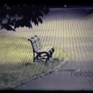 扭曲的螺丝与细雨/ひねくれネジと雨（翻自 IA）