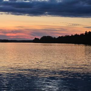 Elämän pienet perkeleet